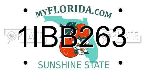 1IBB263 Florida License Plate