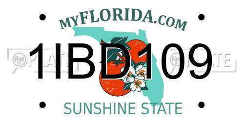 1IBD109 Florida License Plate