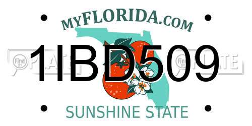 1IBD509 Florida License Plate