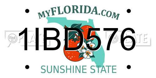 1IBD576 Florida License Plate