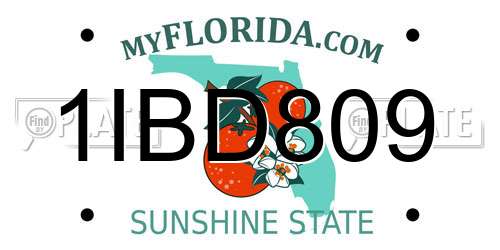 1IBD809 Florida License Plate