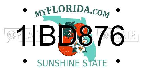 1IBD876 Florida License Plate