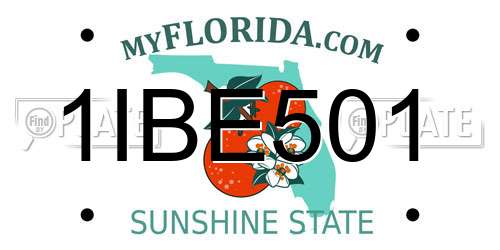 1IBE501 Florida License Plate