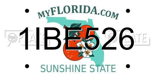 1IBE526 Florida License Plate