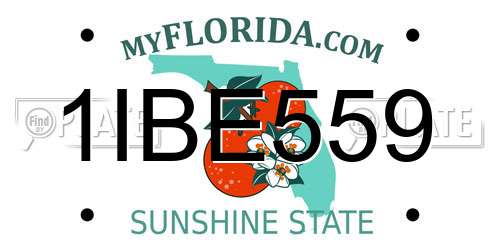 1IBE559 Florida License Plate