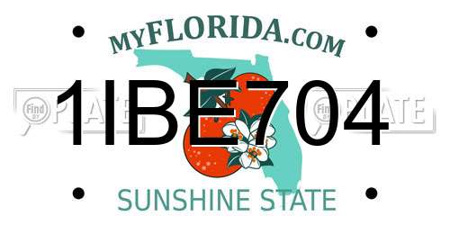 1IBE704 Florida License Plate