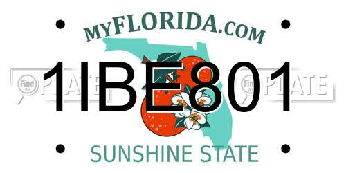 1IBE801 Florida License Plate