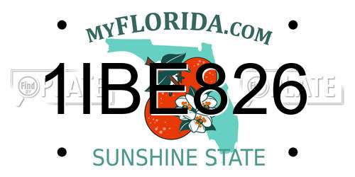 1IBE826 Florida License Plate