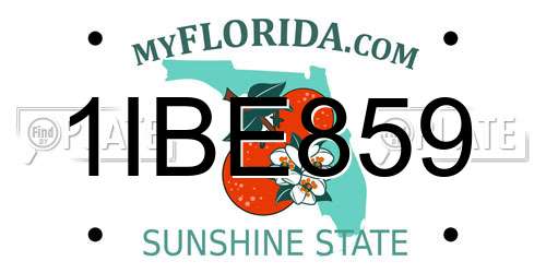 1IBE859 Florida License Plate