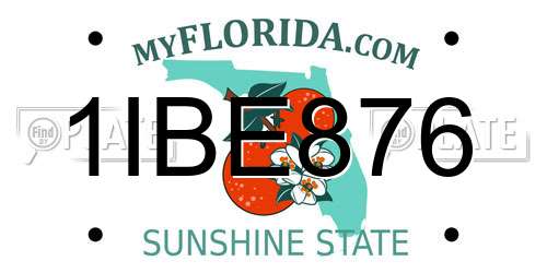 1IBE876 Florida License Plate