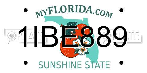1IBE889 Florida License Plate