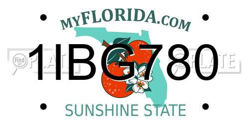 1IBG780 Florida License Plate