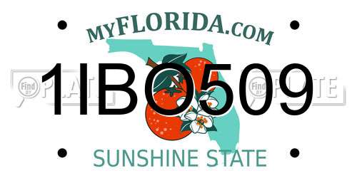 1IBO509 Florida License Plate