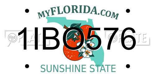 1IBO576 Florida License Plate