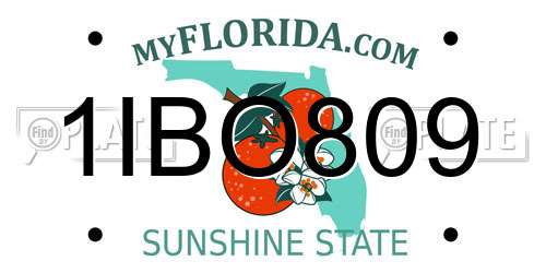 1IBO809 Florida License Plate