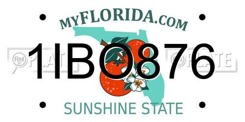 1IBO876 Florida License Plate