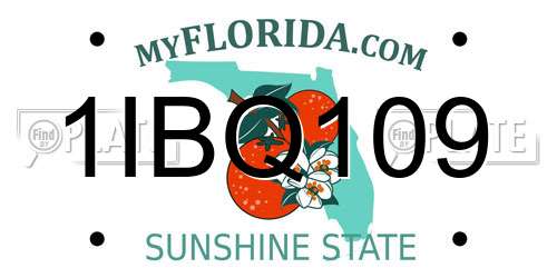 1IBQ109 Florida License Plate