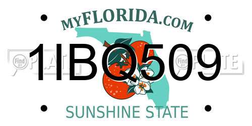 1IBQ509 Florida License Plate
