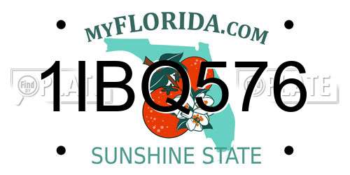 1IBQ576 Florida License Plate
