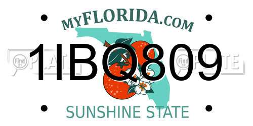 1IBQ809 Florida License Plate