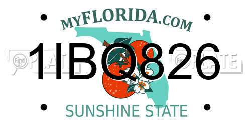 1IBQ826 Florida License Plate