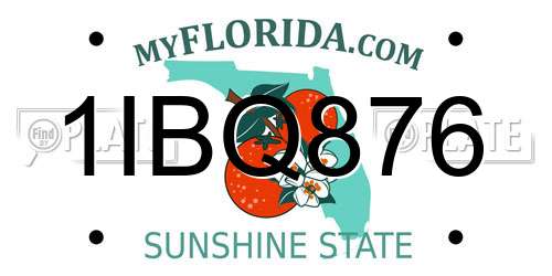 1IBQ876 Florida License Plate