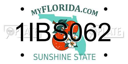 1IBS062 Florida License Plate