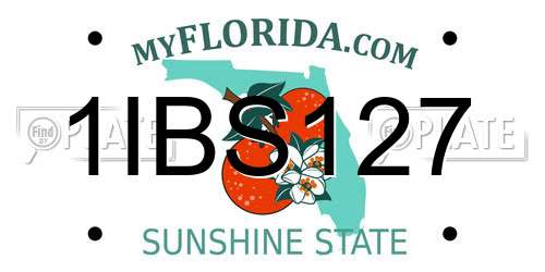 1IBS127 Florida License Plate