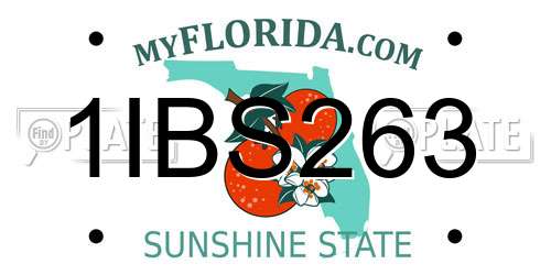 1IBS263 Florida License Plate