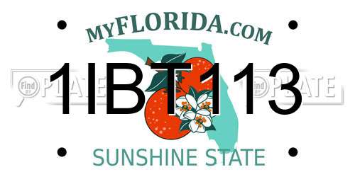 1IBT113 Florida License Plate
