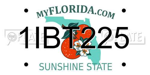 1IBT225 Florida License Plate