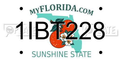 1IBT228 Florida License Plate