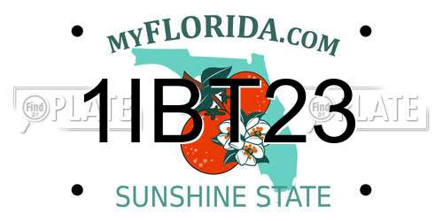 1IBT23 Florida License Plate