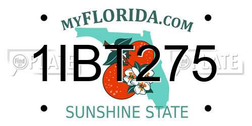 1IBT275 Florida License Plate