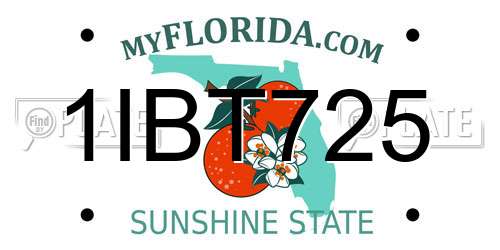 1IBT725 Florida License Plate