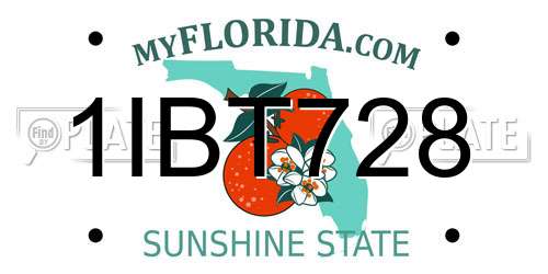 1IBT728 Florida License Plate