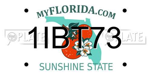 1IBT73 Florida License Plate
