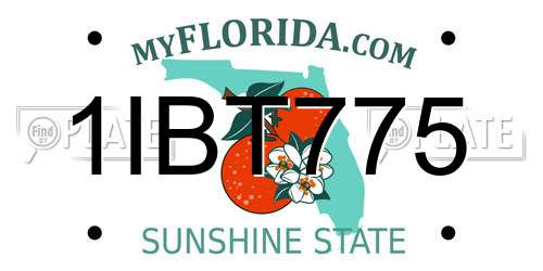 1IBT775 Florida License Plate