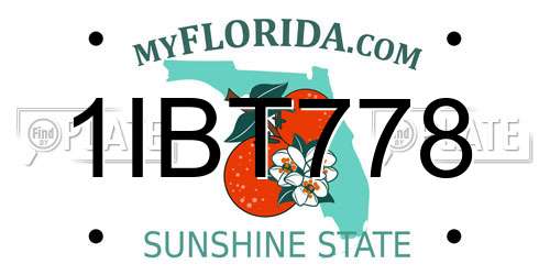 1IBT778 Florida License Plate
