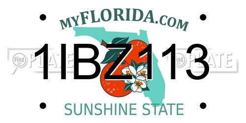 1IBZ113 Florida License Plate