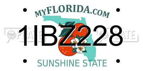 1IBZ228 Florida License Plate