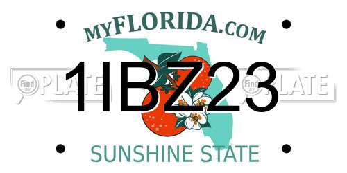 1IBZ23 Florida License Plate