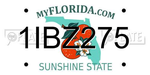 1IBZ275 Florida License Plate