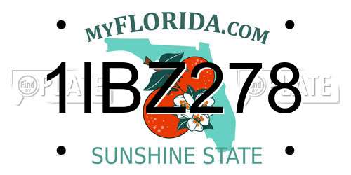 1IBZ278 Florida License Plate