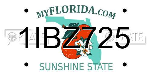 1IBZ725 Florida License Plate