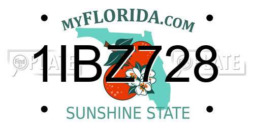 1IBZ728 Florida License Plate