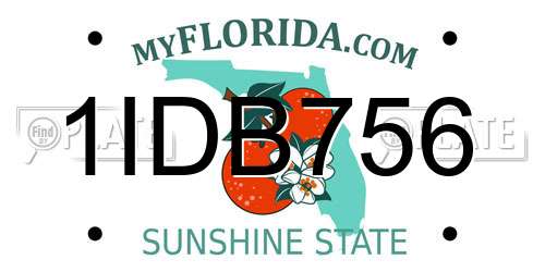 1IDB756 Florida License Plate