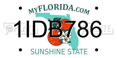 1IDB786 Florida License Plate