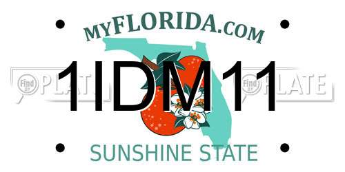 1IDM11 Florida License Plate