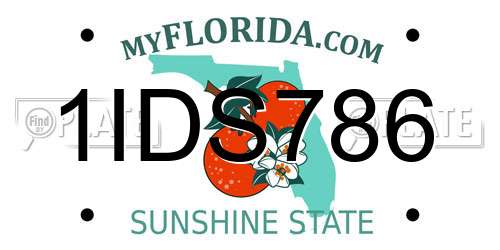 1IDS786 Florida License Plate